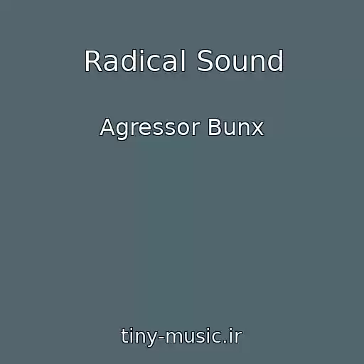 کاور آهنگ Radical Sound از Agressor Bunx