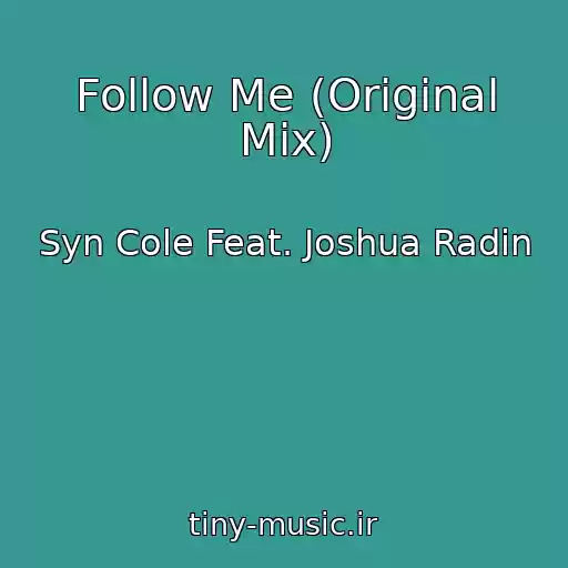 کاور آهنگ Follow Me (Original Mix) از Syn Cole Feat. Joshua Radin