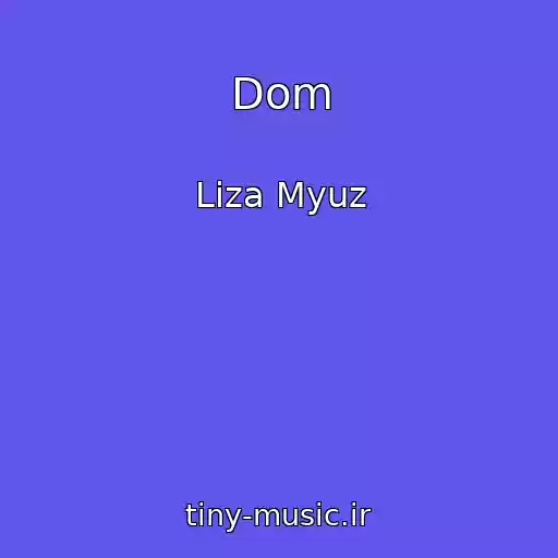 کاور آهنگ Dom از Liza Myuz