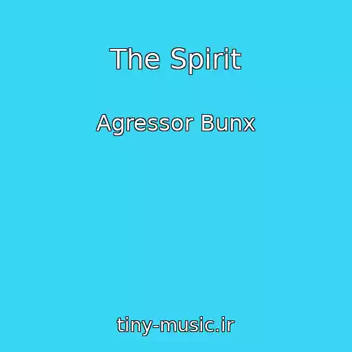 کاور آهنگ The Spirit از Agressor Bunx