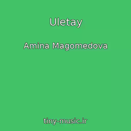 کاور آهنگ Uletay از Amina Magomedova