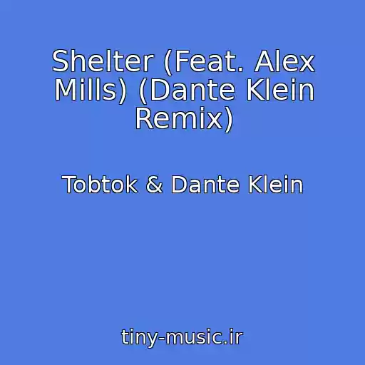 کاور آهنگ Shelter (Feat. Alex Mills) (Dante Klein Remix) از Tobtok & Dante Klein
