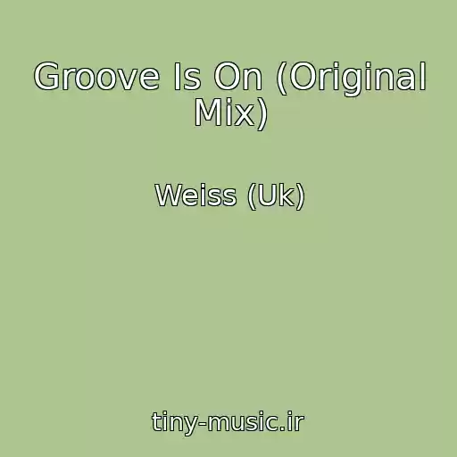 کاور آهنگ Groove Is On (Original Mix) از Weiss (Uk)