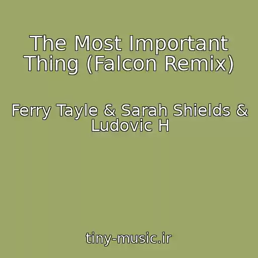 کاور آهنگ The Most Important Thing (Falcon Remix) از Ferry Tayle & Sarah Shields & Ludovic H