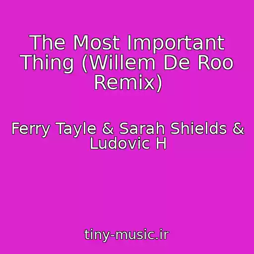 کاور آهنگ The Most Important Thing (Willem De Roo Remix) از Ferry Tayle & Sarah Shields & Ludovic H