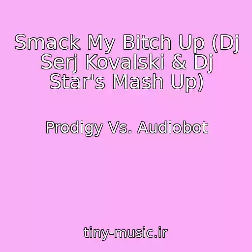 کاور آهنگ Smack My Bitch Up (Dj Serj Kovalski & Dj Star's Mash Up) از Prodigy Vs. Audiobot