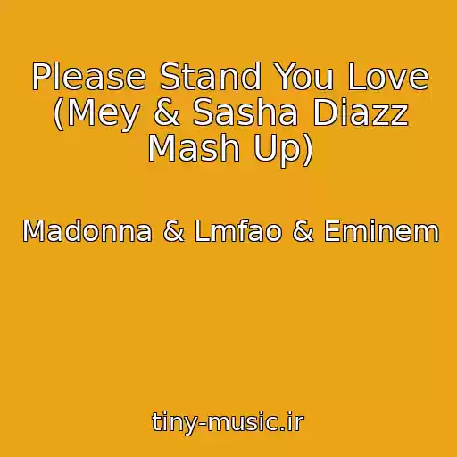 کاور آهنگ Please Stand You Love (Mey & Sasha Diazz Mash Up) از Madonna & Lmfao & Eminem