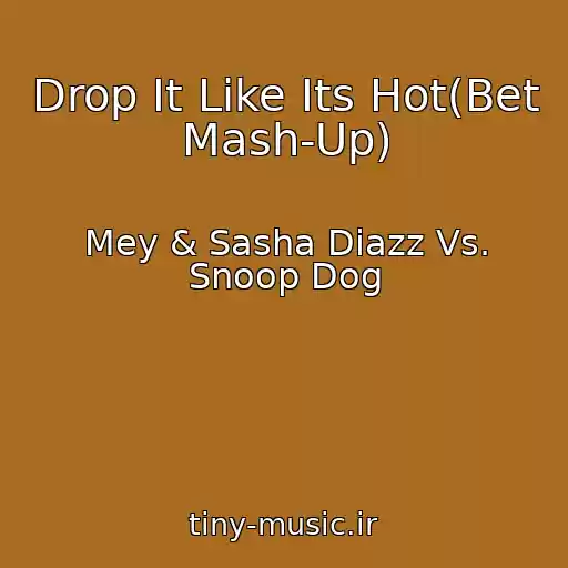 کاور آهنگ Drop It Like Its Hot(Bet Mash-Up) از Mey & Sasha Diazz Vs. Snoop Dog