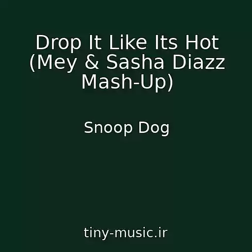 کاور آهنگ Drop It Like Its Hot (Mey & Sasha Diazz Mash-Up) از Snoop Dog