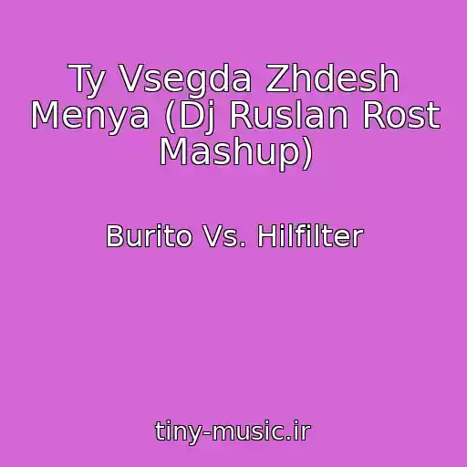 کاور آهنگ Ty Vsegda Zhdesh Menya (Dj Ruslan Rost Mashup) از Burito Vs. Hilfilter