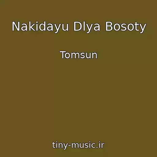 کاور آهنگ Nakidayu Dlya Bosoty از Tomsun