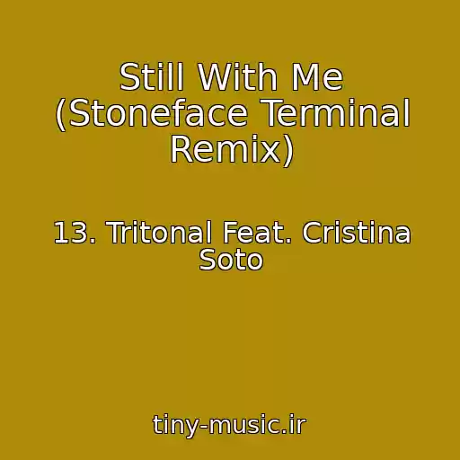 کاور آهنگ Still With Me (Stoneface Terminal Remix) از 13. Tritonal Feat. Cristina Soto