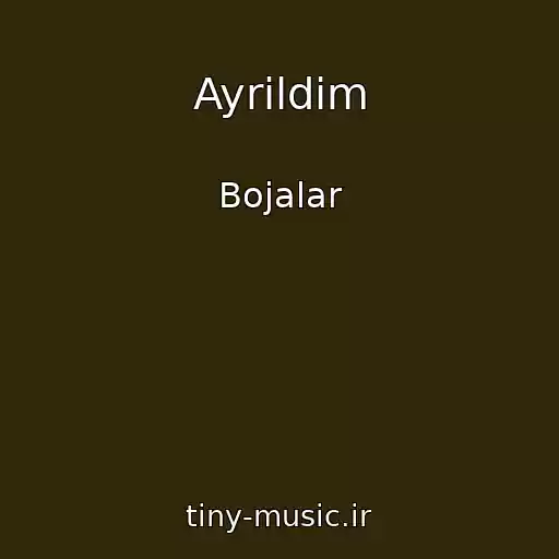 کاور آهنگ Ayrildim از Bojalar