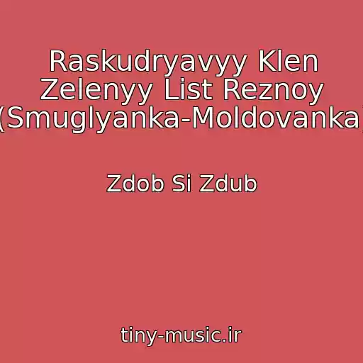 کاور آهنگ Raskudryavyy Klen Zelenyy List Reznoy (Smuglyanka-Moldovanka) از Zdob Si Zdub