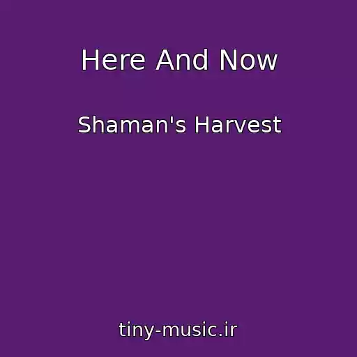 کاور آهنگ Here And Now از Shaman's Harvest