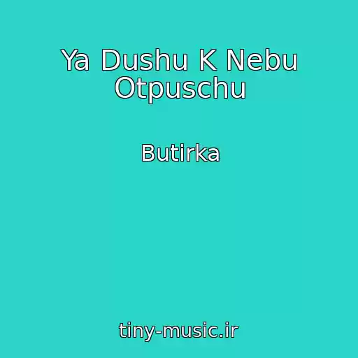 کاور آهنگ Ya Dushu K Nebu Otpuschu از Butirka