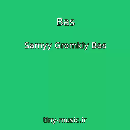 کاور آهنگ Bas از Samyy Gromkiy Bas