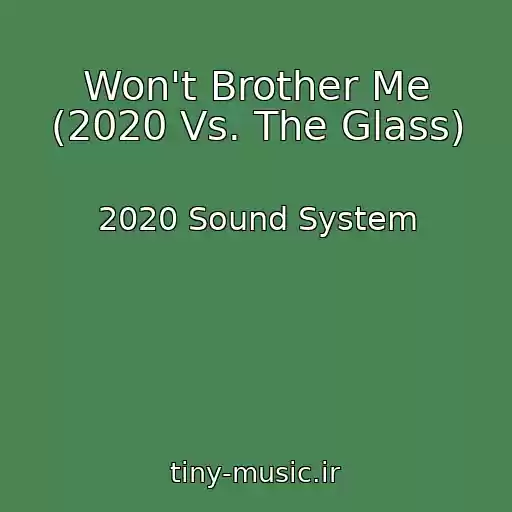 کاور آهنگ Won't Brother Me (2020 Vs. The Glass) از 2020 Sound System