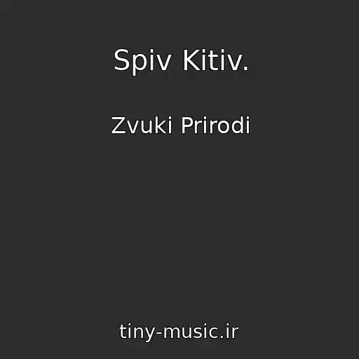 کاور آهنگ Spіv Kitіv. از Zvuki Prirodi