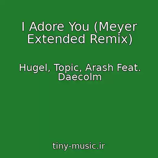 کاور آهنگ I Adore You (Meyer Extended Remix) از Hugel, Topic, Arash Feat. Daecolm