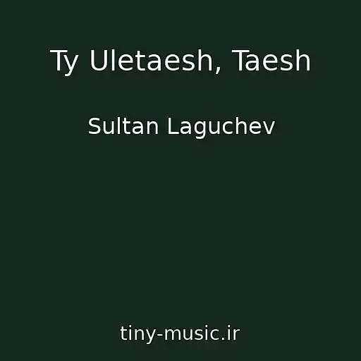 کاور آهنگ Ty Uletaesh, Taesh از Sultan Laguchev