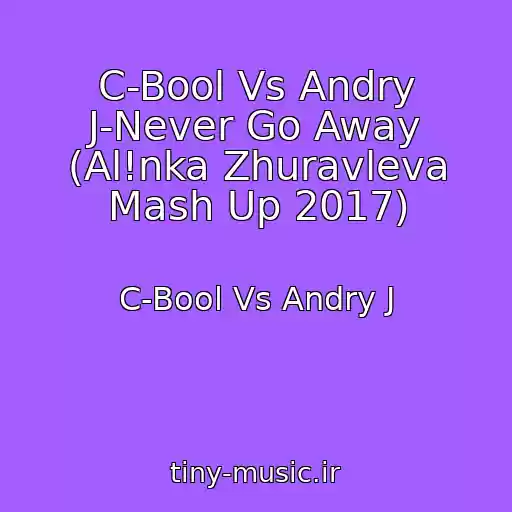 کاور آهنگ C-Bool Vs Andry J-Never Go Away (Al!nka Zhuravleva Mash Up 2017) از C-Bool Vs Andry J