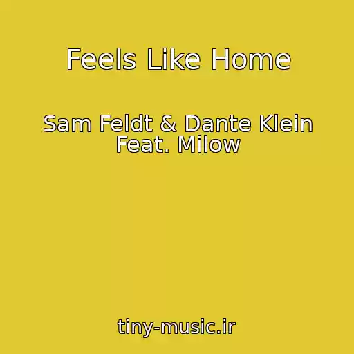 کاور آهنگ Feels Like Home از Sam Feldt & Dante Klein Feat. Milow