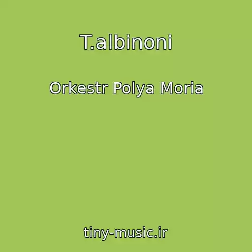 کاور آهنگ T.albinoni از Orkestr Polya Moria