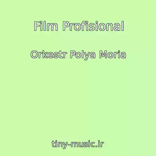 کاور آهنگ Film Profisional از Orkestr Polya Moria