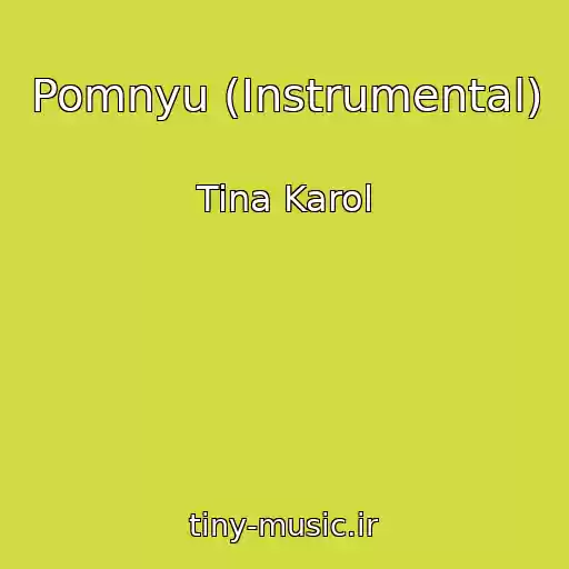 کاور آهنگ Pomnyu (Instrumental) از Tina Karol