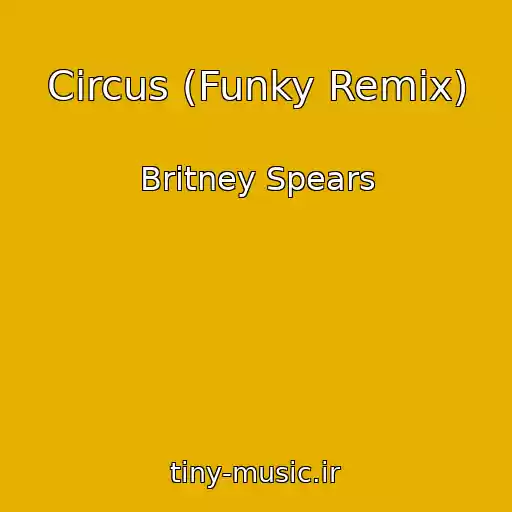 کاور آهنگ Circus (Funky Remix) از Britney Spears