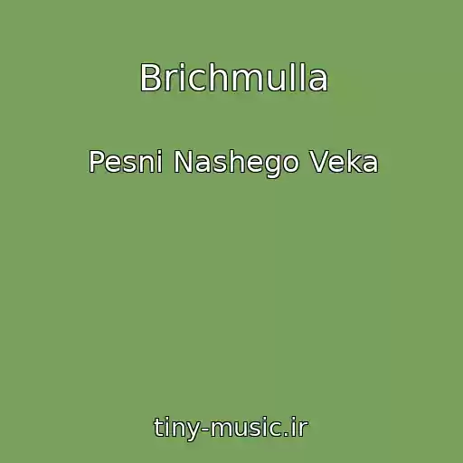 کاور آهنگ Brichmulla از Pesni Nashego Veka