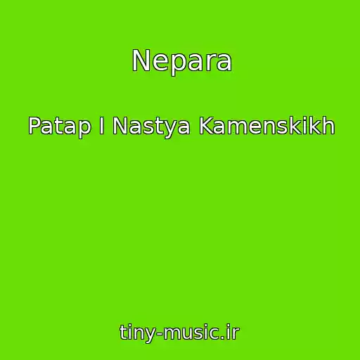کاور آهنگ Nepara از Patap I Nastya Kamenskikh
