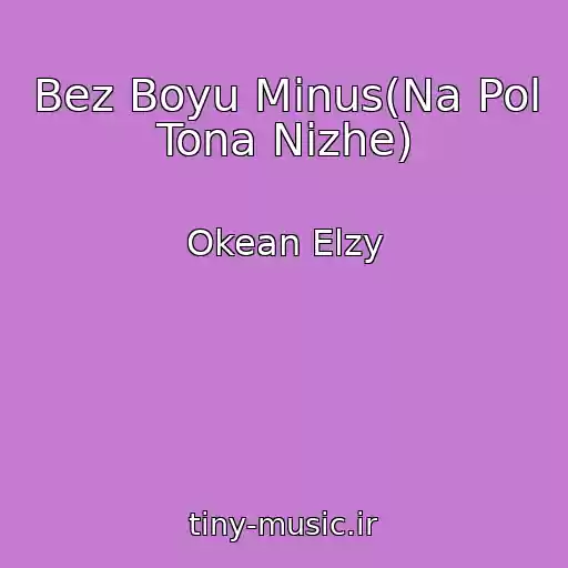 کاور آهنگ Bez Boyu Minus(Na Pol Tona Nizhe) از Okean Elzy