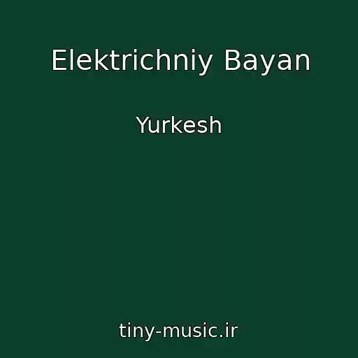 کاور آهنگ Elektrichniy Bayan از Yurkesh