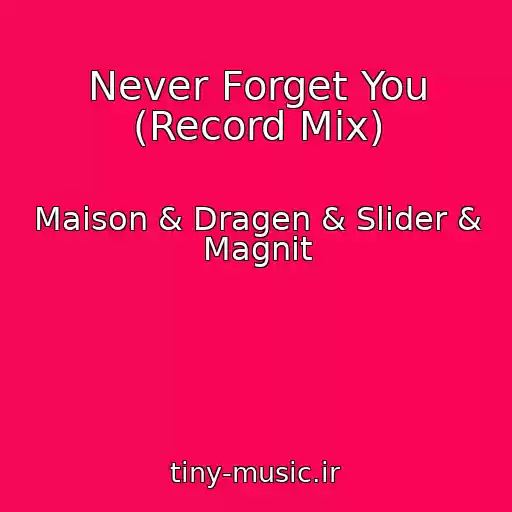کاور آهنگ Never Forget You (Record Mix) از Maison & Dragen & Slider & Magnit