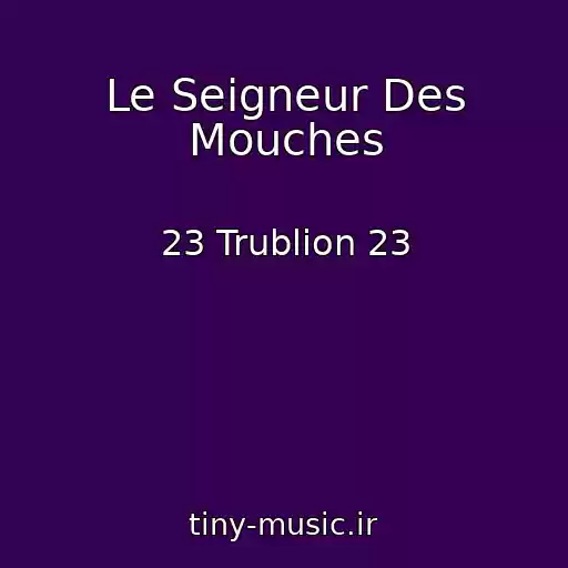 کاور آهنگ Le Seigneur Des Mouches از 23 Trublion 23