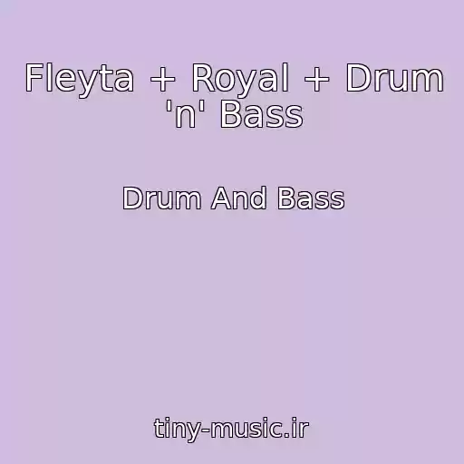 کاور آهنگ Fleyta + Royal + Drum 'n' Bass از Drum And Bass