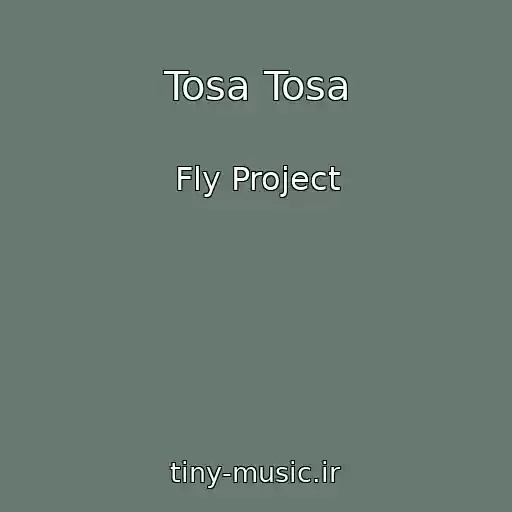 کاور آهنگ Tosa Tosa از Fly Project