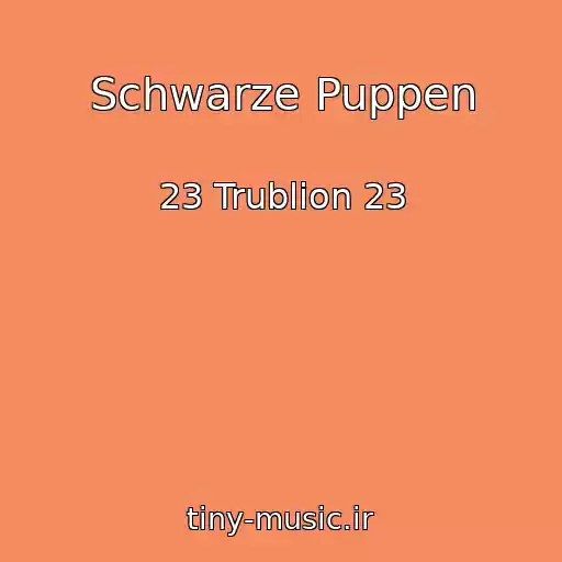 کاور آهنگ Schwarze Puppen از 23 Trublion 23