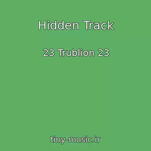 کاور آهنگ Hidden Track از 23 Trublion 23