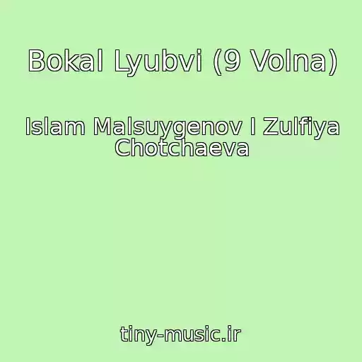 کاور آهنگ Bokal Lyubvi (9 Volna) از Islam Malsuygenov I Zulfiya Chotchaeva