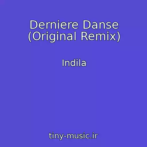 کاور آهنگ Derniere Danse (Original Remix) از Indila