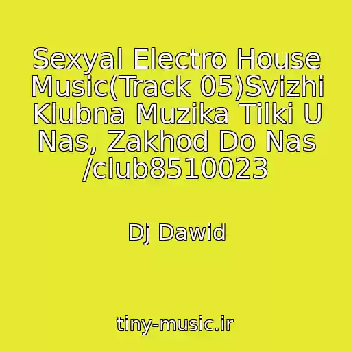 کاور آهنگ Sexyal Electro House Music(Track 05)Svіzhі Klubna Muzika Tіlki U Nas, Zakhod Do Nas /club8510023 از Dj Dawid