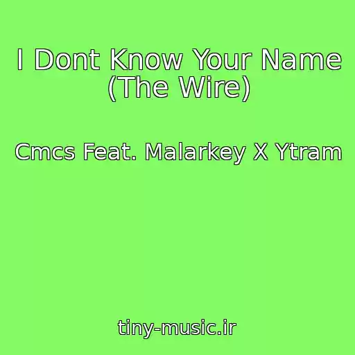 کاور آهنگ I Dont Know Your Name (The Wire) از Cmcs Feat. Malarkey X Ytram