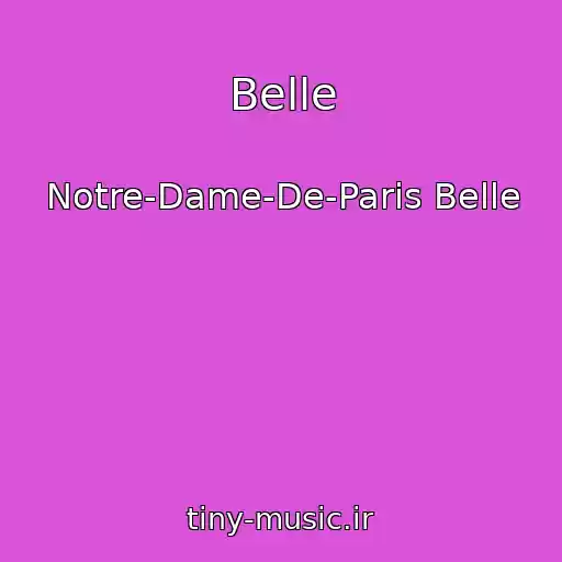 کاور آهنگ Belle از Notre-Dame-De-Paris Belle