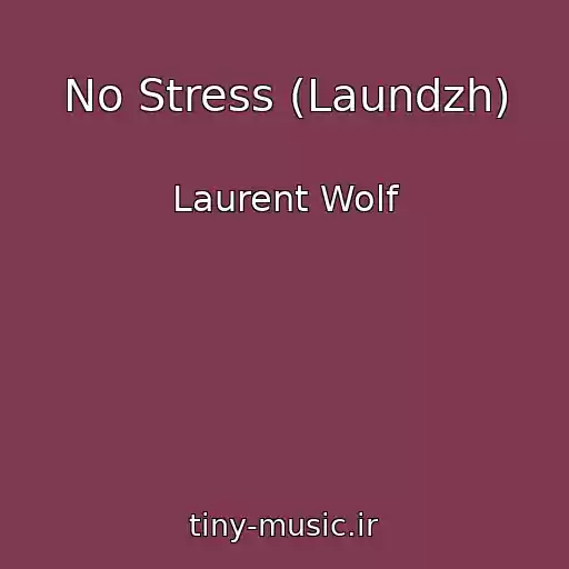 کاور آهنگ No Stress (Laundzh) از Laurent Wolf