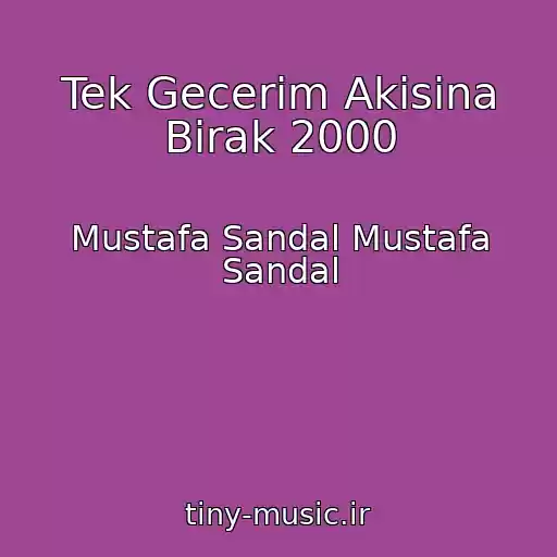 کاور آهنگ Tek Gecerim Akisina Birak 2000 از Mustafa Sandal Mustafa Sandal