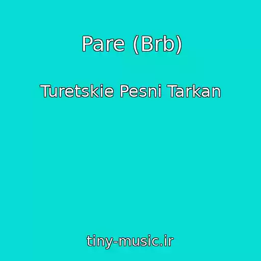 کاور آهنگ Pare (Brb) از Turetskie Pesni Tarkan
