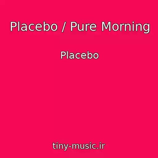 کاور آهنگ Placebo / Pure Morning از Placebo